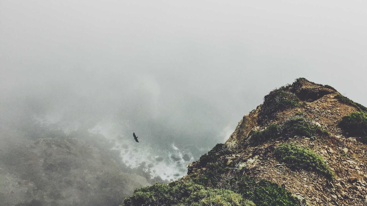 Hochbeet Lärchenholz Detailansicht: Hochbeet Lärchenholz