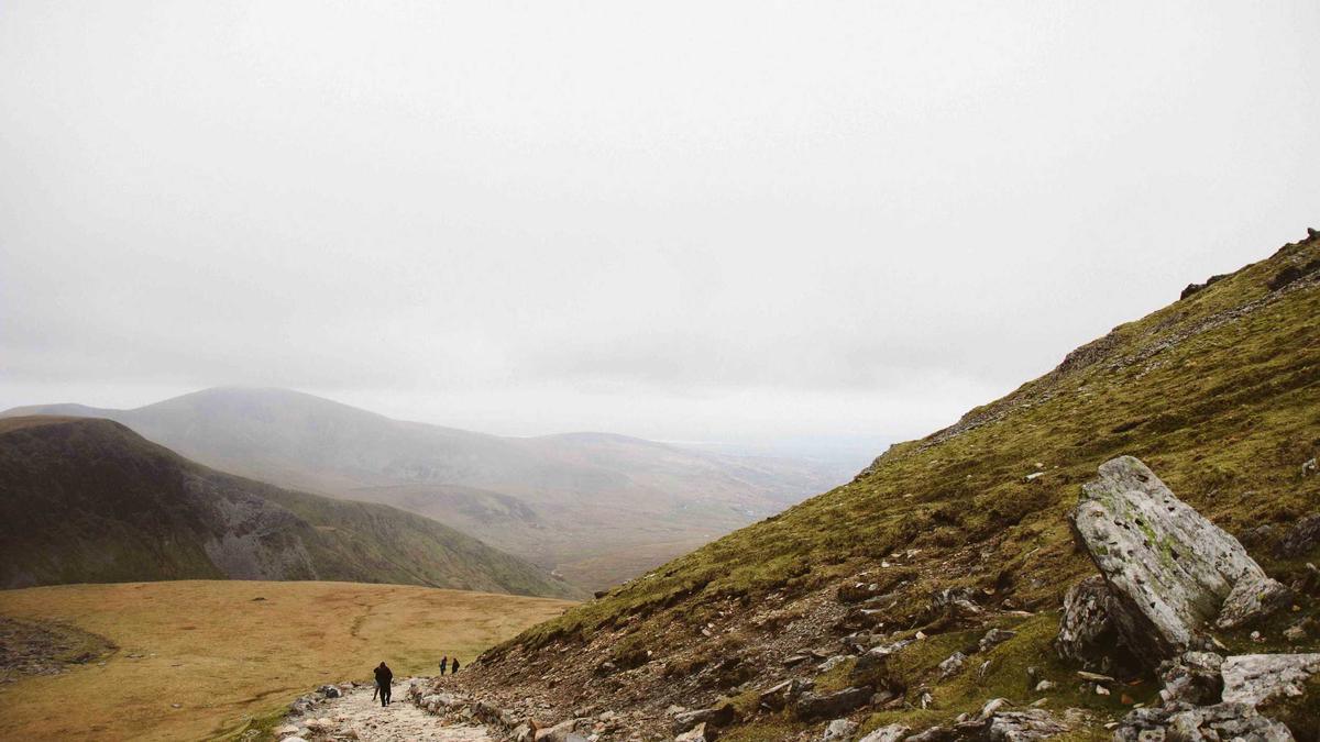 Holzverbindungen Anfänger Symbolbild zum Thema Holzverbindungen Anfänger