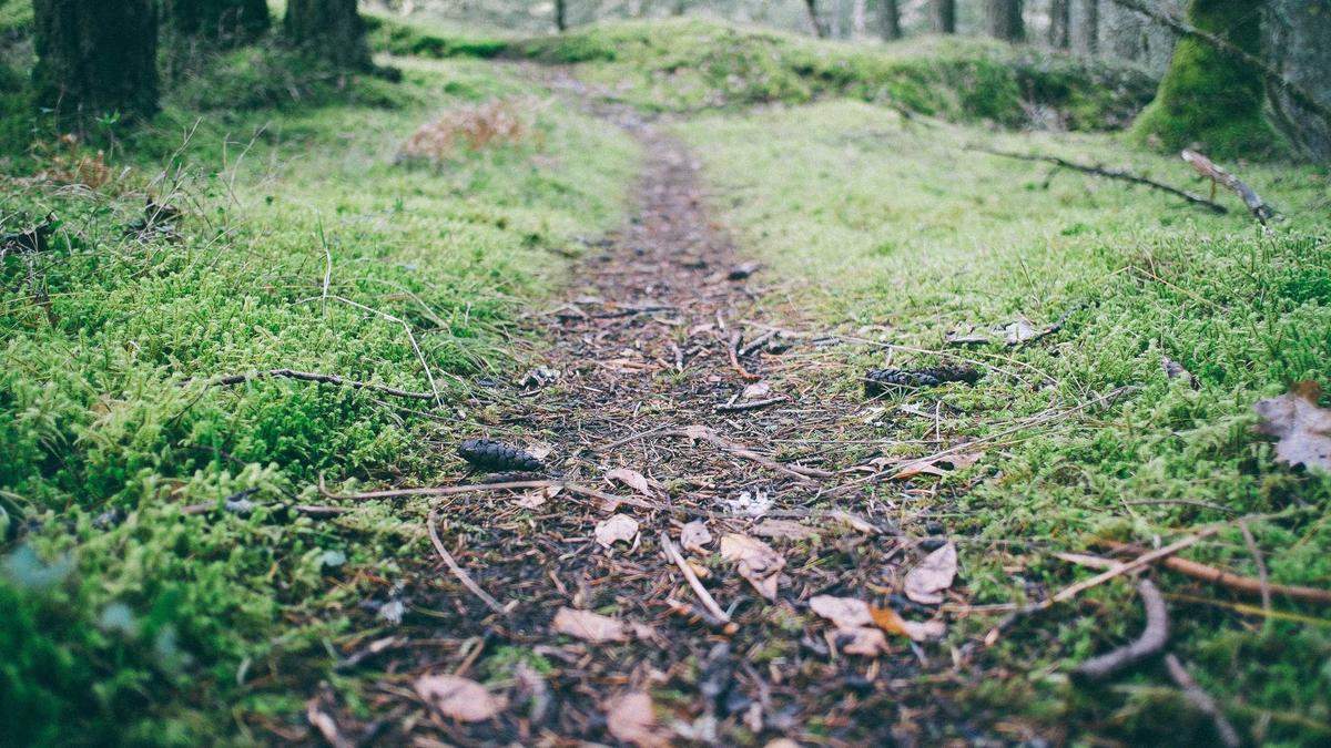 Detailansicht: Kleiderschrank Selber Bauen