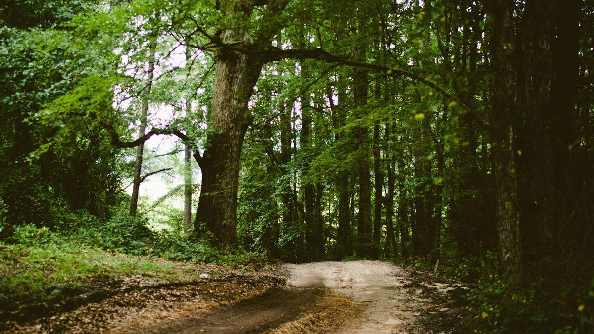 Detailansicht: Montessori Lernturm Selber Bauen