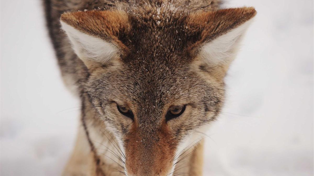 Werkstatt Einrichten Illustration zu Werkstatt Einrichten