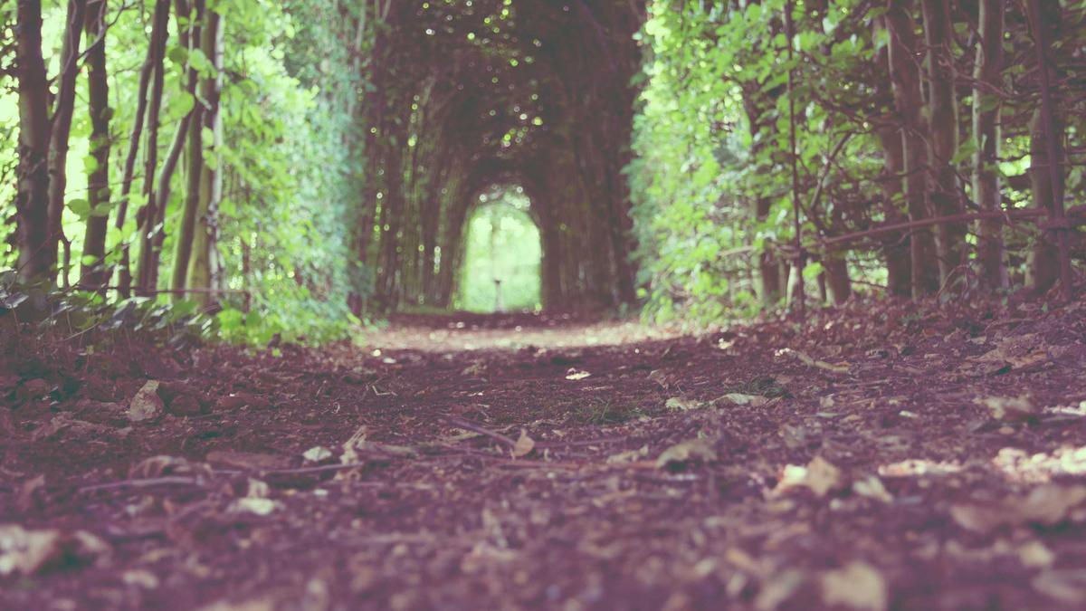 Werkstatt Einrichten Symbolbild zum Thema Werkstatt Einrichten