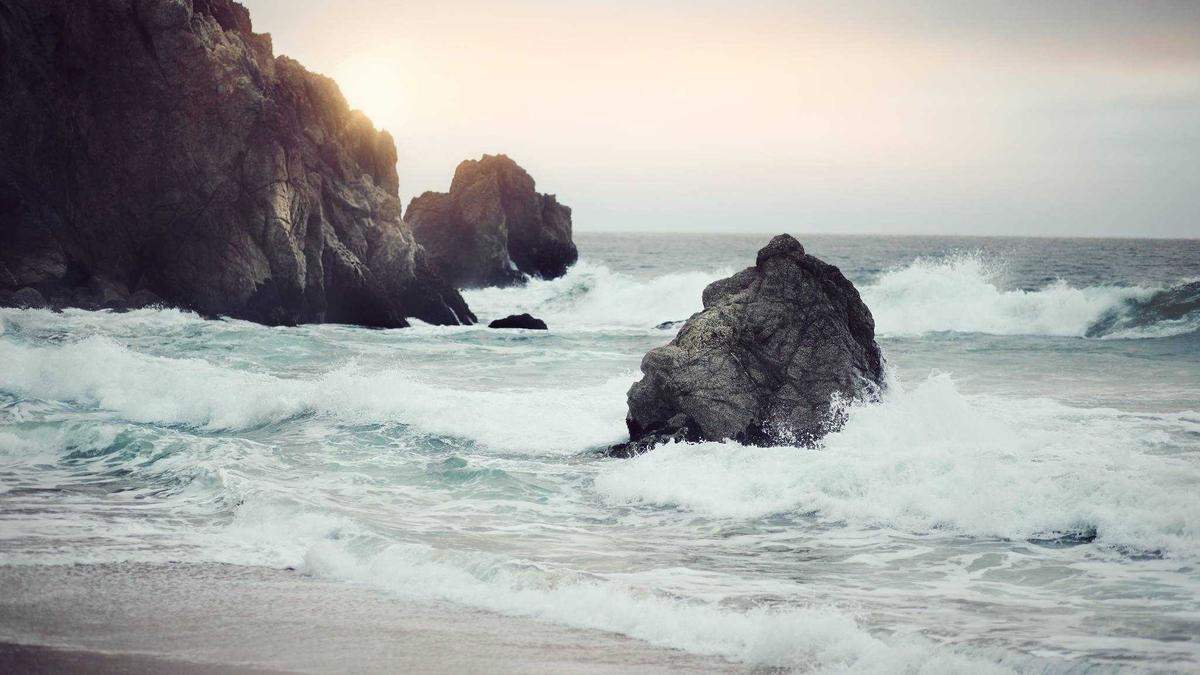Detailansicht: Gartenarbeit Mit Kindern